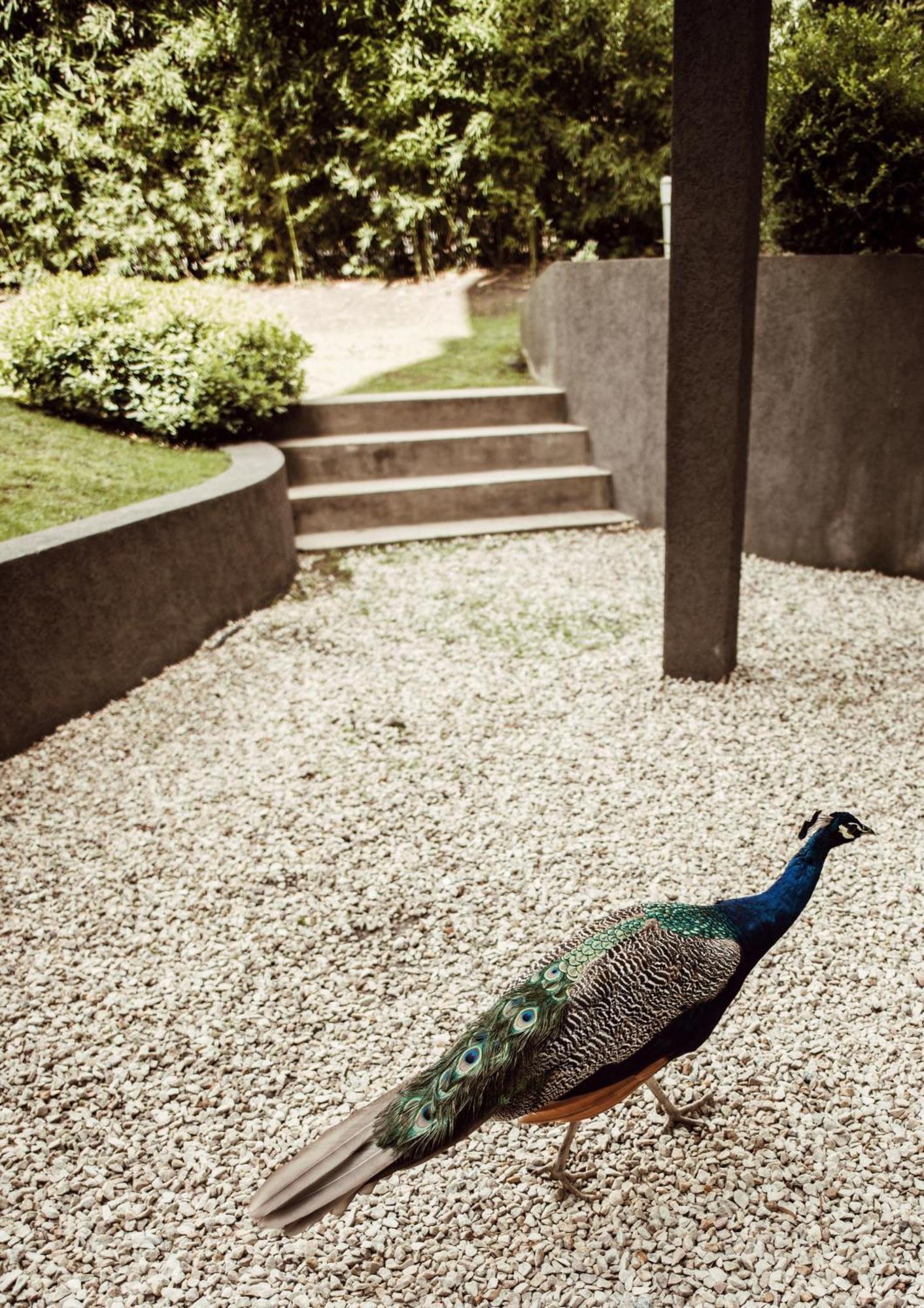 Suite House カリロ エクステリア 写真